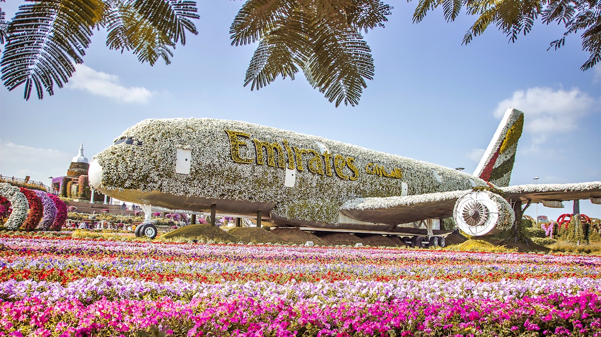 Visit Miracle Garden Dubai