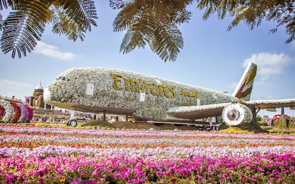 Book Dubai Miracle Garden Tickets