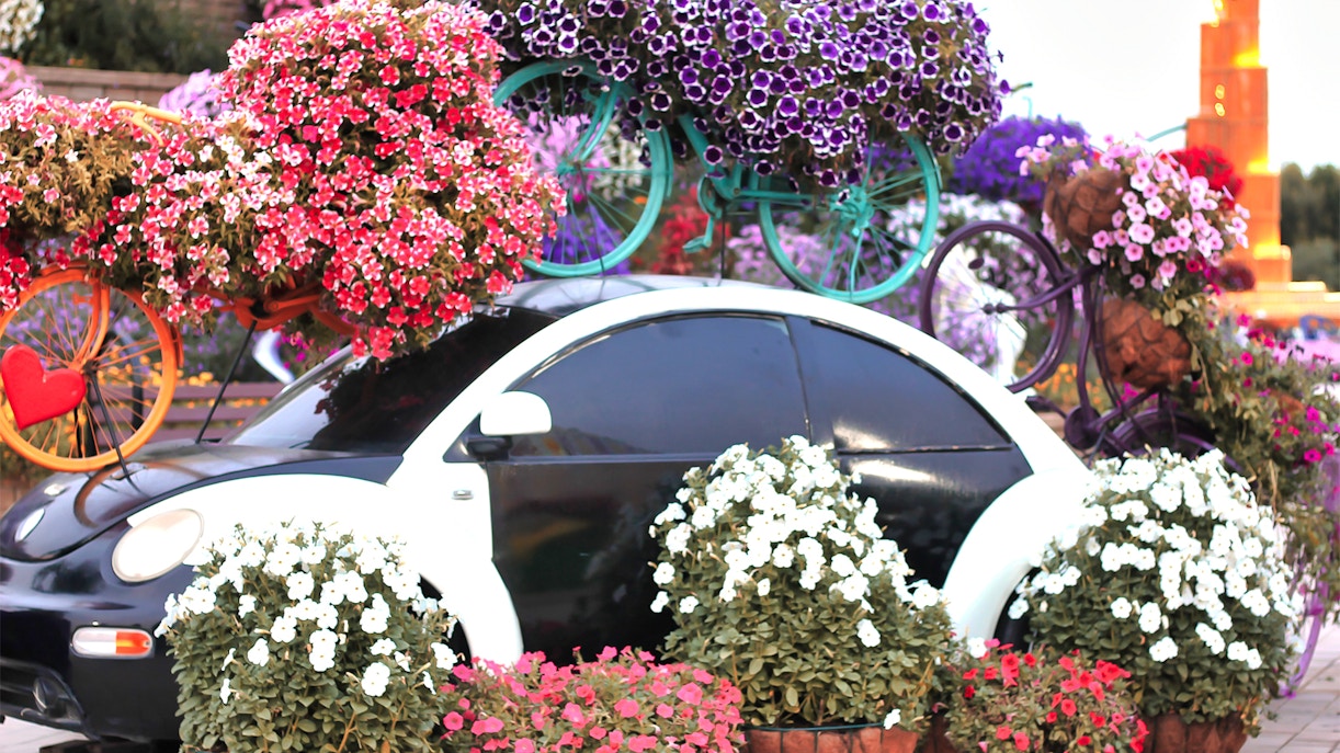 Visit Miracle Garden Dubai