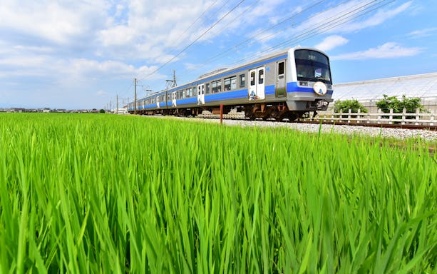 Train on Izuhakone Line passing through lush green fields under a blue sky.