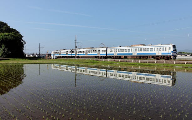 Train on Izuhakone Line passing rice fields in Japan.