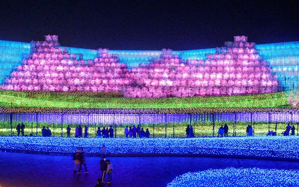 Nabana no Sato light display with colorful illuminated cherry blossoms, part of Nagoya tour.