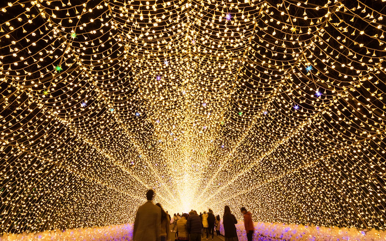 Visitors walking through illuminated tunnel at Nabana no Sato, part of Nagashima Outlet Mall Tour from Nagoya.