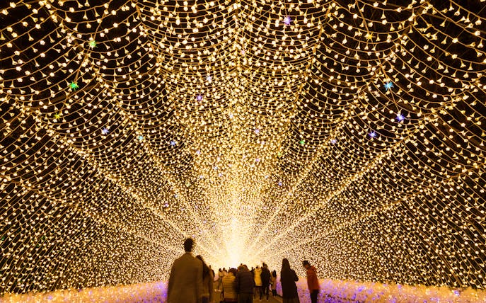 Visitors walking through illuminated tunnel at Nabana no Sato, part of Nagashima Outlet Mall Tour from Nagoya.