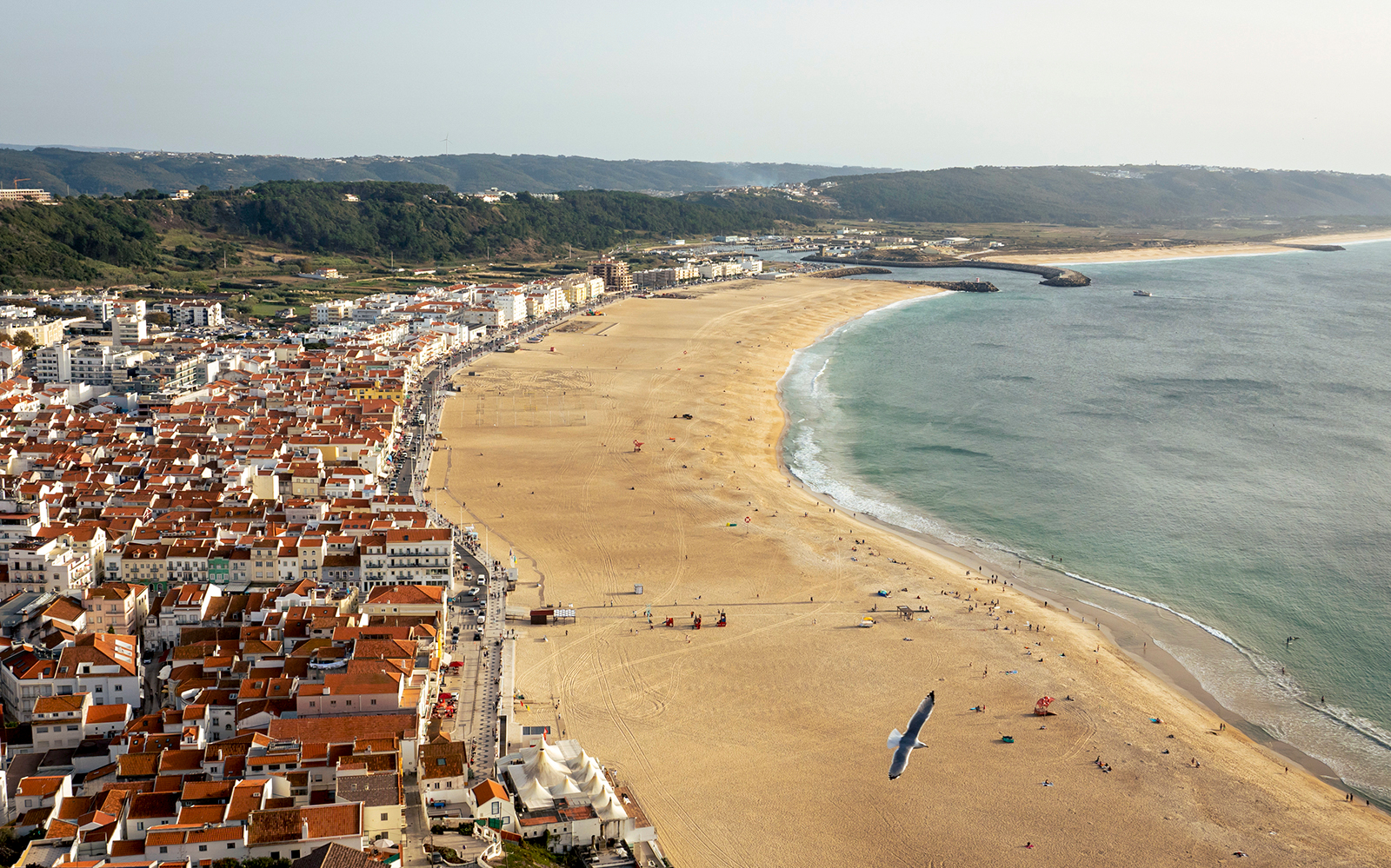 Aerial view of Nazaré beach and town on a sunny day, part of a guided tour from Lisbon.