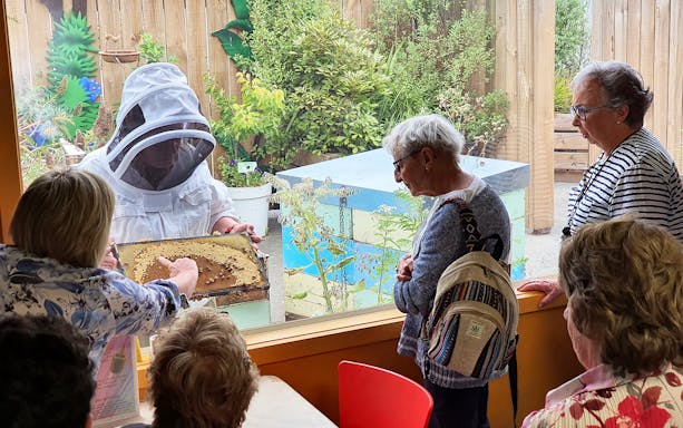 Beekeeper showing honeycomb to visitors on Hawkes Bay tour.