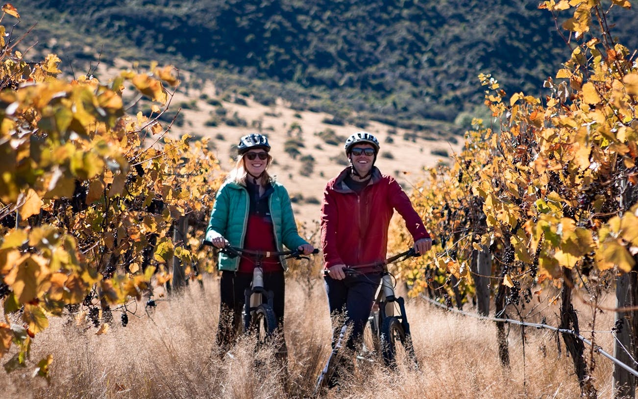 Cyclists riding through vineyard on self-guided tour near Queenstown.