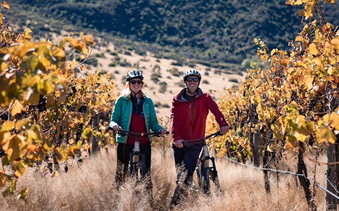 Cyclists riding through vineyard on self-guided tour near Queenstown.