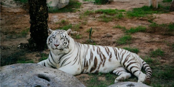 Emirates Park Zoo
