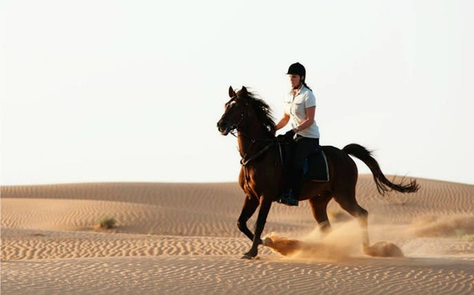 Person riding a horse through desert sand dunes at Horse Desert Park.