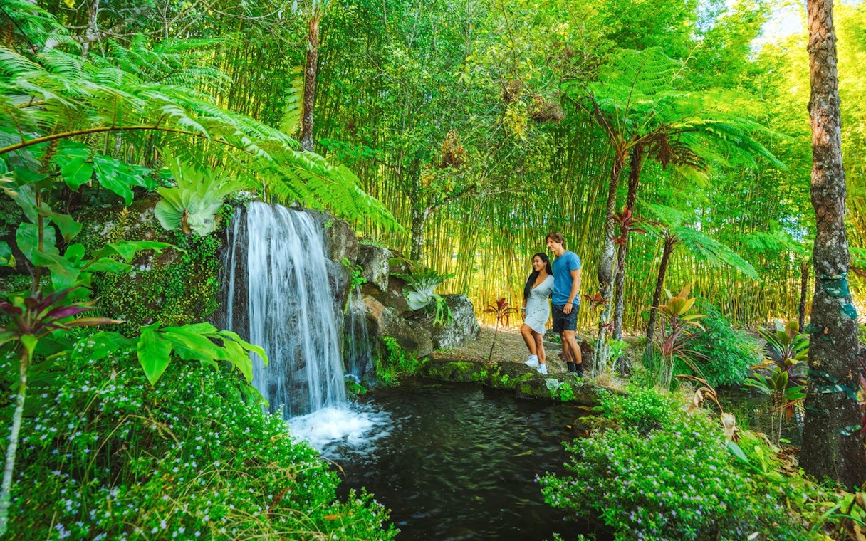 Couple exploring waterfall at Maleny Botanic Gardens, surrounded by lush greenery.