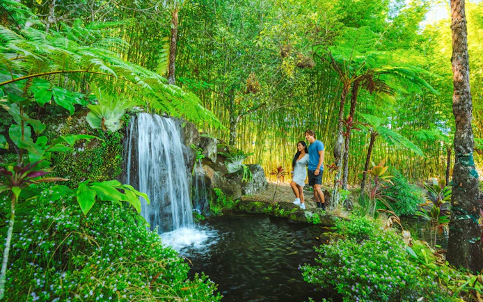 Couple exploring waterfall at Maleny Botanic Gardens, surrounded by lush greenery.