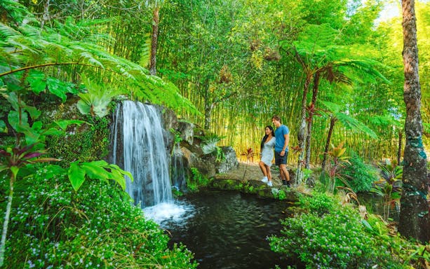 Couple exploring waterfall at Maleny Botanic Gardens, surrounded by lush greenery.