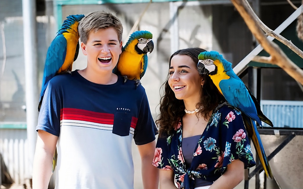 Visitors interacting with colorful parrots at Maleny Botanic Gardens and Bird World.