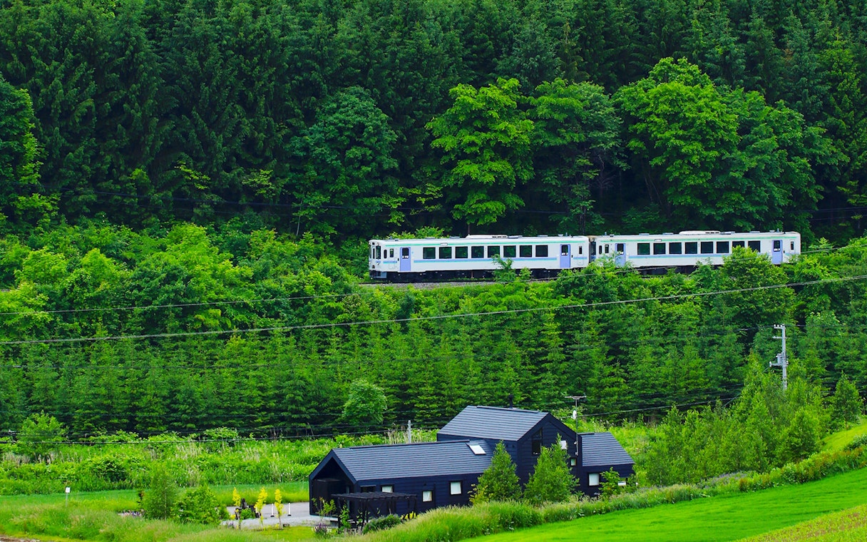 Train passing through lush forest in Sanyo-San'in area, Japan.