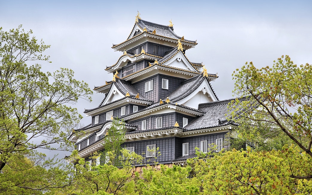 Okayama Castle surrounded by trees, part of the 7 Day Sanyo-San'in Area Pass tour.