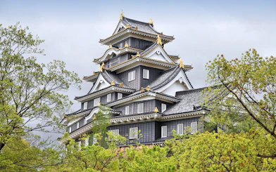 Okayama Castle surrounded by trees, part of the 7 Day Sanyo-San'in Area Pass tour.