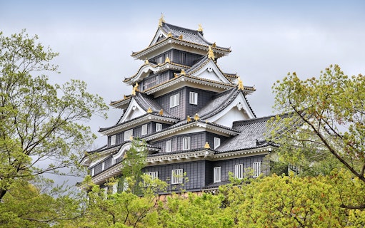 Okayama Castle surrounded by trees, part of the 7 Day Sanyo-San'in Area Pass tour.