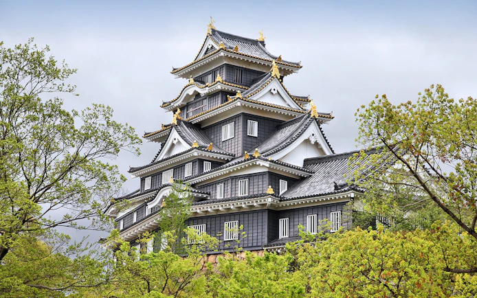Okayama Castle surrounded by trees, part of the 7 Day Sanyo-San'in Area Pass tour.