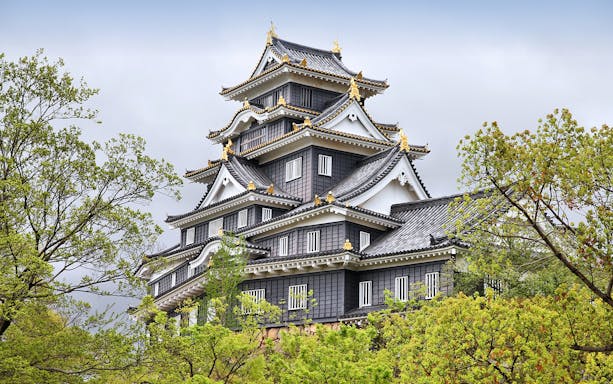 Okayama Castle surrounded by trees, part of the 7 Day Sanyo-San'in Area Pass tour.