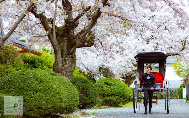 Rickshaw ride through bamboo grove in Arashiyama, Kyoto, Japan.