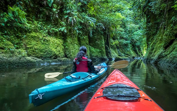 Kayaking through lush green gorge on Lake McLaren, Tauranga.
