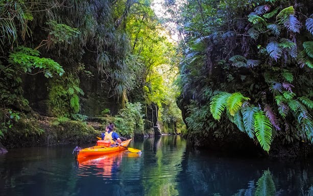 Kayaker paddling through lush greenery on Lake McLaren, Tauranga.