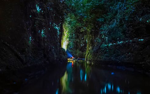 Evening Glowworm Kayak Guided Tour from Tauranga