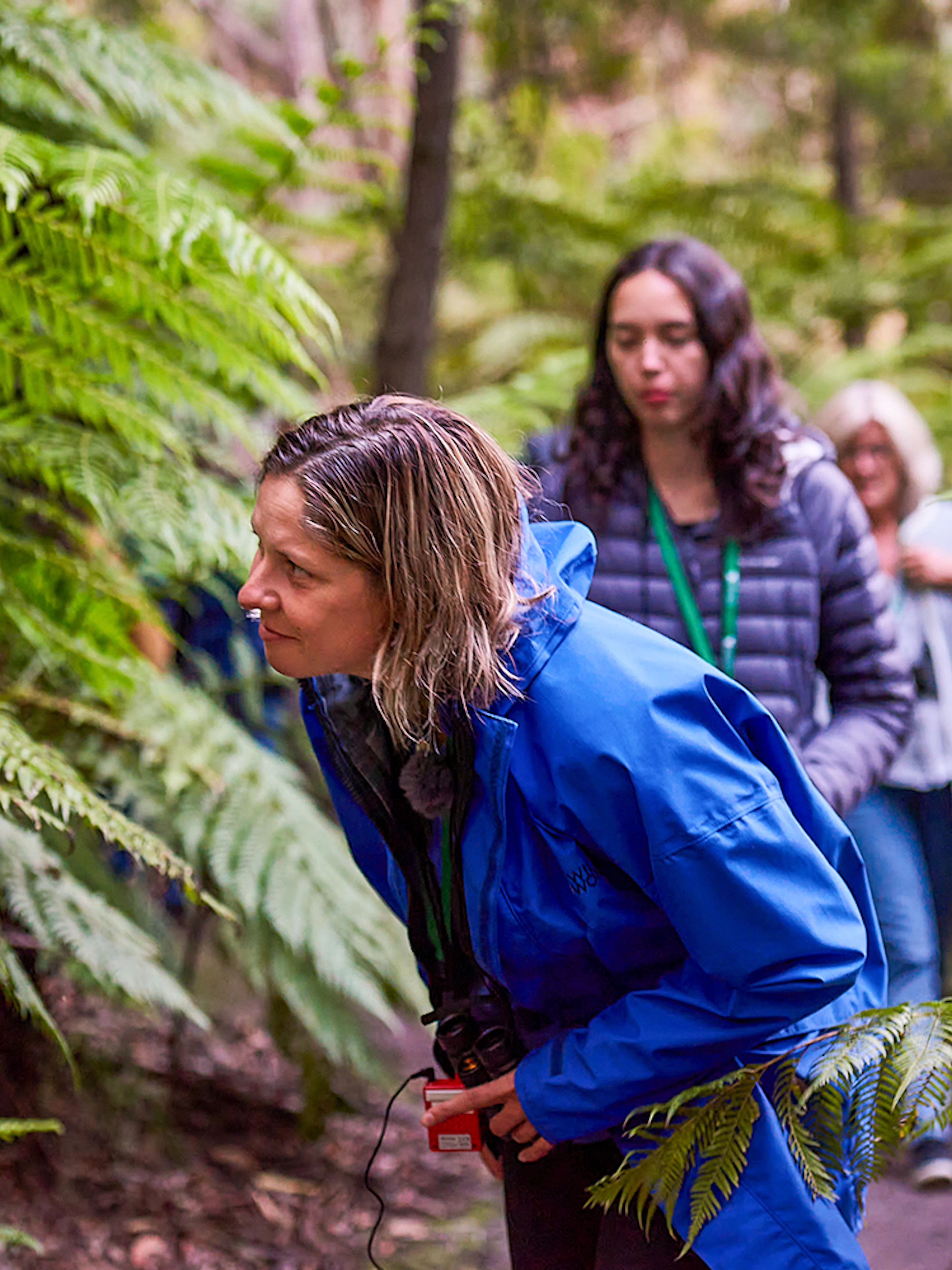 Tour group exploring lush forest during Dusk Discovery Tour.