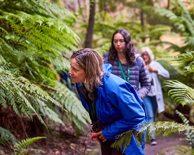 Dusk Discovery Tour