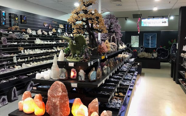 Dinosaur and mineral display at the National Dinosaur Museum.