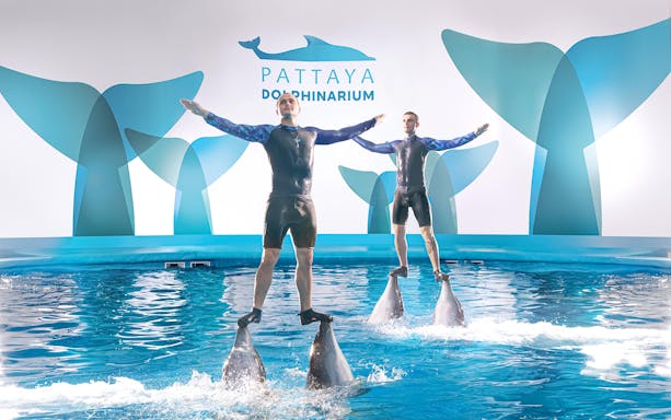 Performers standing on dolphins at Pattaya Dolphinarium show.