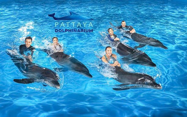Visitors swimming with dolphins at Pattaya Dolphinarium, Thailand.