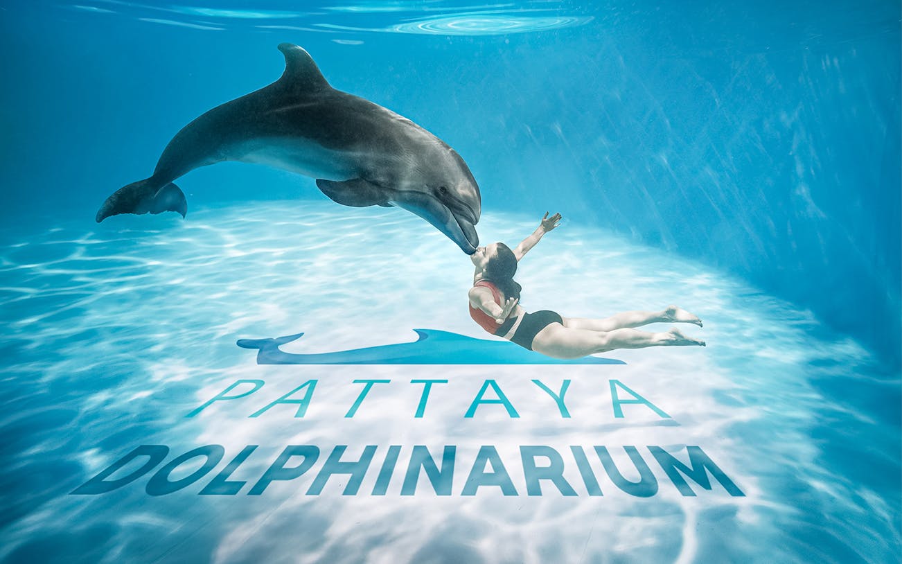 Dolphin interacting with a swimmer at Pattaya Dolphinarium, Thailand.