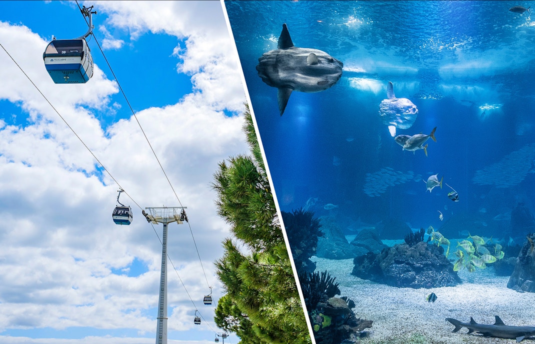 Lisboa's Oceanário + Telecabine Cable Car Tickets