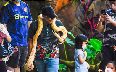 Man holding a large snake at Zoo Melaka, surrounded by visitors.