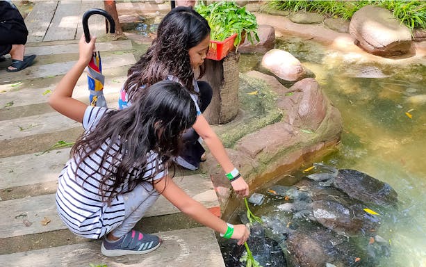Children feeding turtles at Zoo Melaka, Malaysia.