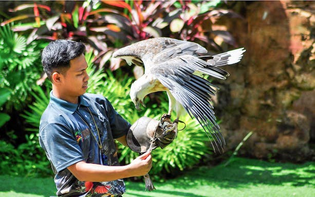 Handler with a bird of prey at Zoo Melaka, part of the Combo: Zoo Melaka + Melaka Crocodile Park tour.