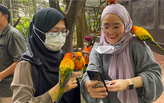 Visitors interacting with colorful parrots at Zoo Melaka.
