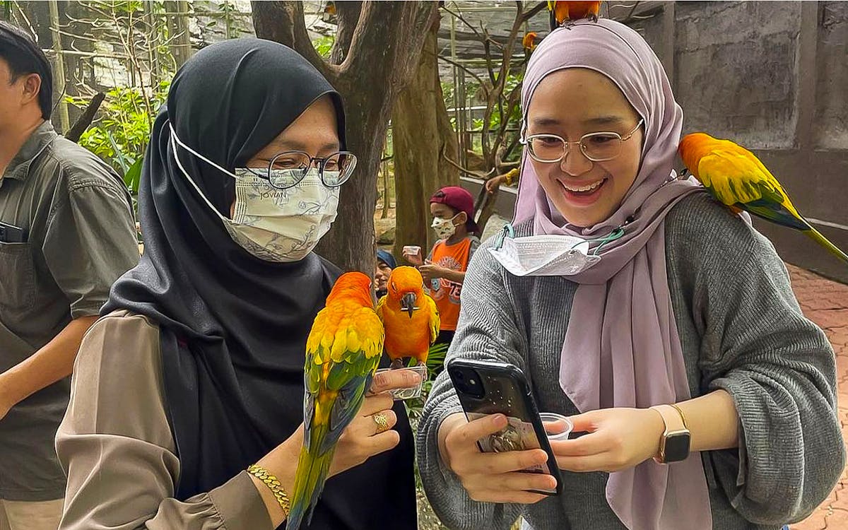 combo: zoo melaka + melaka crocodile & recreational park tickets-17 combo: zoo melaka + melaka crocodile & recreational park tickets-17