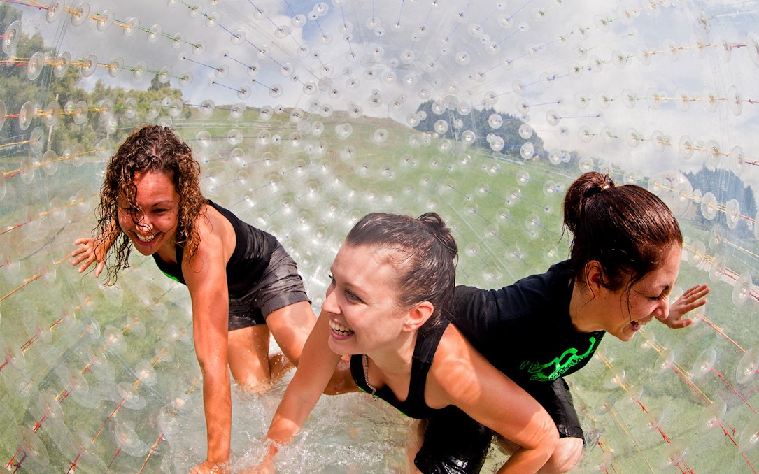 People enjoying Zorb Rotorua VIP Experience in a giant inflatable ball on a grassy hill.