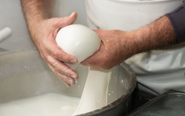 Mozzarella cheese being hand-stretched during a tasting tour in Paestum, Italy.