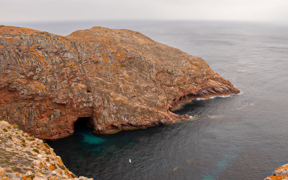 tour to berlenga grande island with boat trip to the caves from lisbon-6 tour to berlenga grande island with boat trip to the caves from lisbon-6