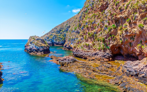 Berlenga Grande Island rocky coastline with clear blue water and caves, Portugal.