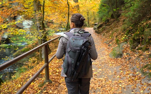 Person hiking on a leaf-covered trail in Bohemian Switzerland National Park.
