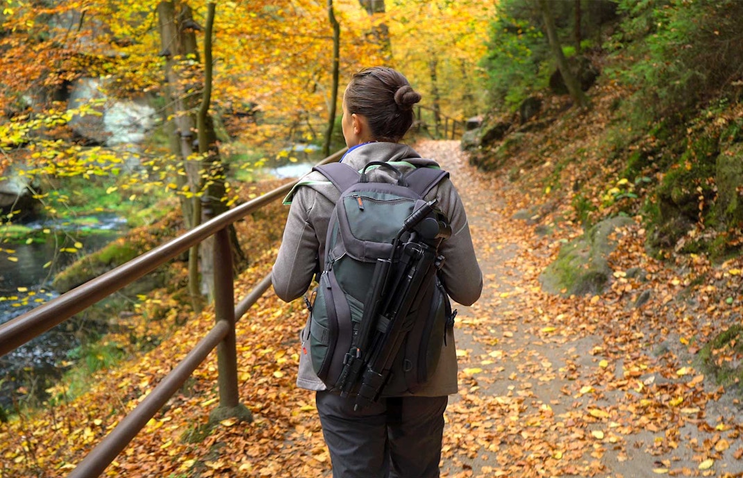 Person hiking on a leaf-covered trail in Bohemian Switzerland National Park.