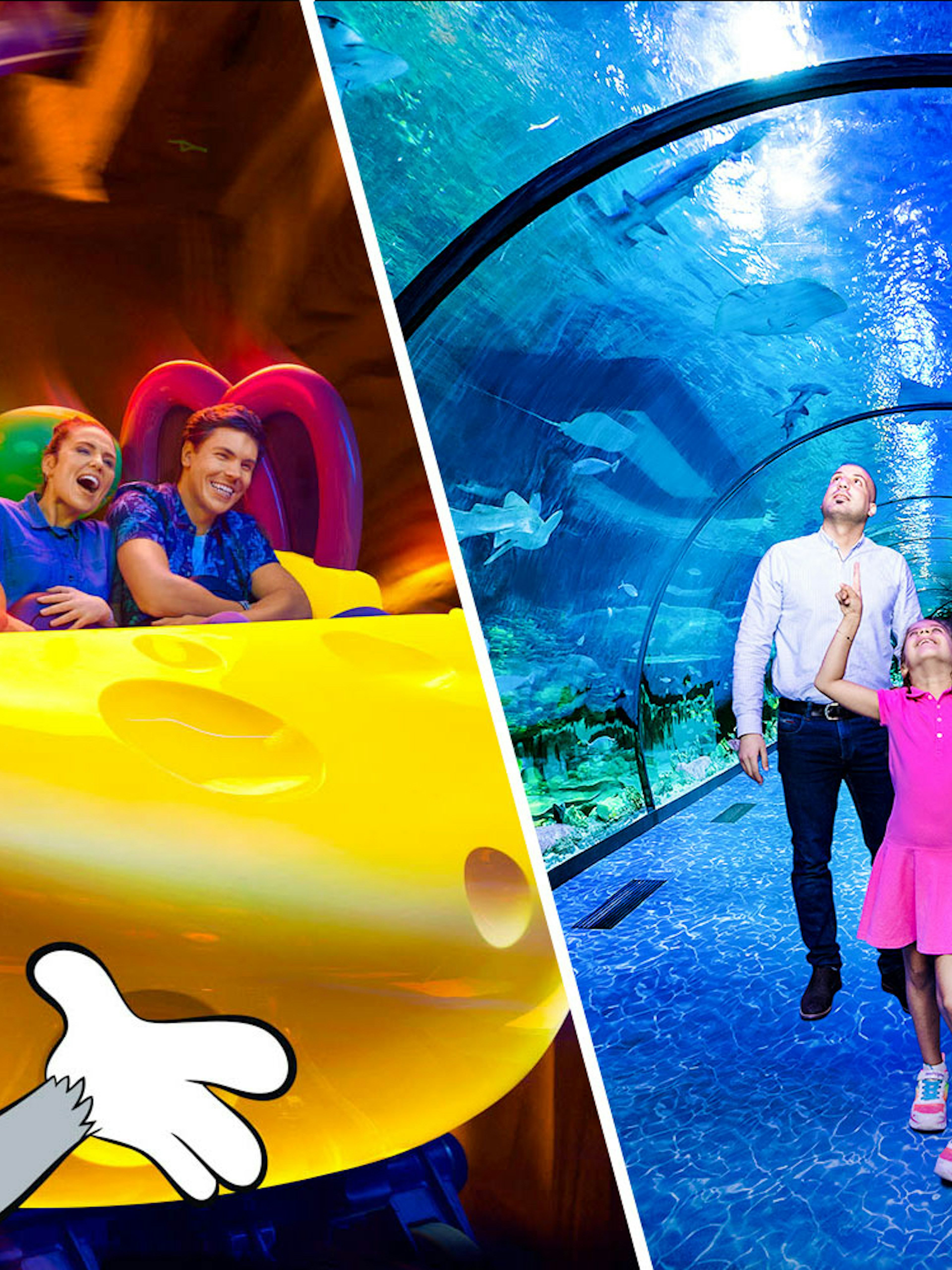 Warner Bros. World ride and family in National Aquarium Abu Dhabi tunnel.