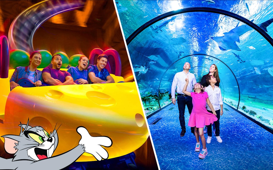 Warner Bros. World ride and family in National Aquarium Abu Dhabi tunnel.