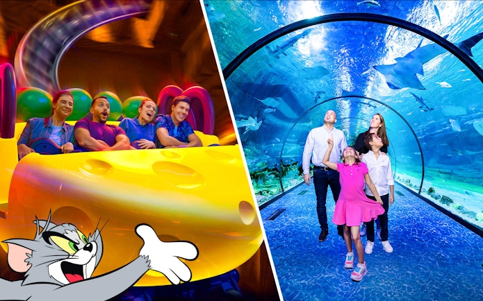 Warner Bros. World ride and family in National Aquarium Abu Dhabi tunnel.