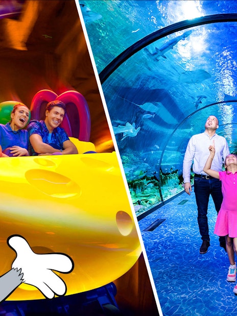 Warner Bros. World ride and family in National Aquarium Abu Dhabi tunnel.